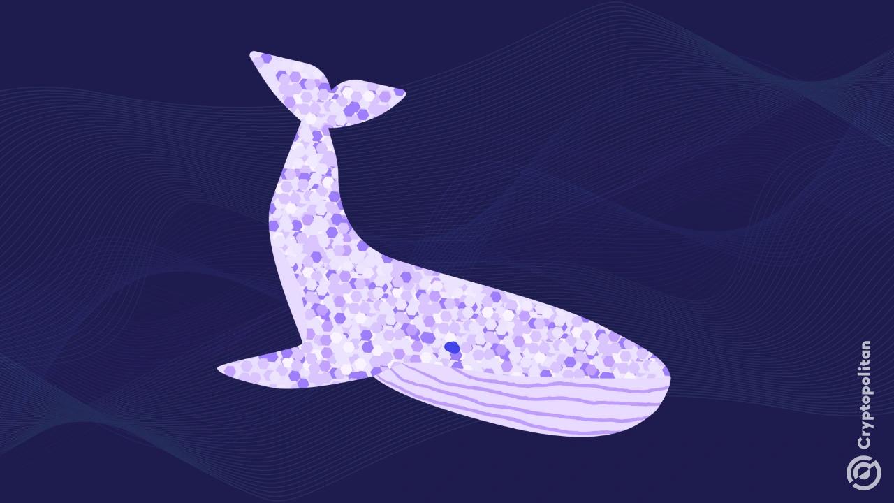 DWF Labs领导的Whales将2025年的投资组合转移到ZEREBRO——这个加密货币项目是关于什么的?